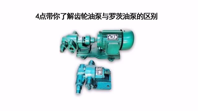 4點(diǎn)帶你了解齒輪油泵與羅茨油泵的區(qū)別