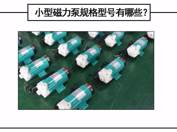 <i style='color:red'>小型磁力泵</i>規格型號有哪些？