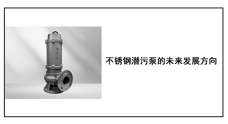 不銹鋼潛污泵的未來(lái)發(fā)展方向副本