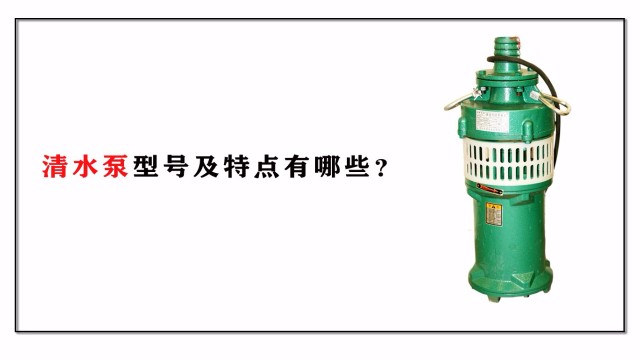 <i style='color:red'>清水泵</i>型號(hào)及特點(diǎn)有哪些？