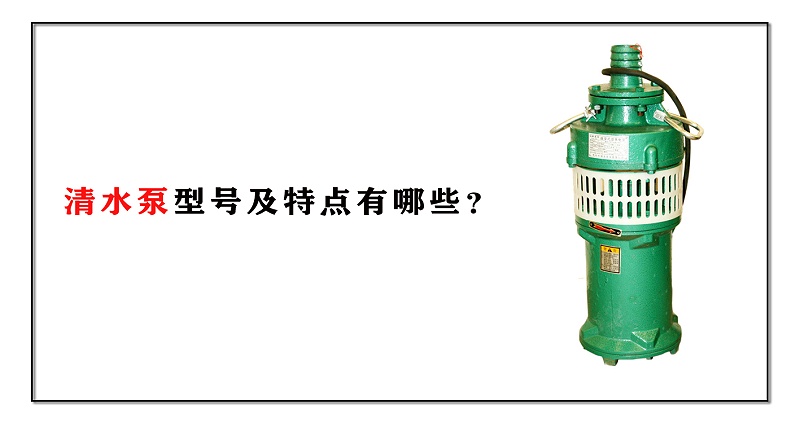 清水泵型號及特點(diǎn)有哪些？